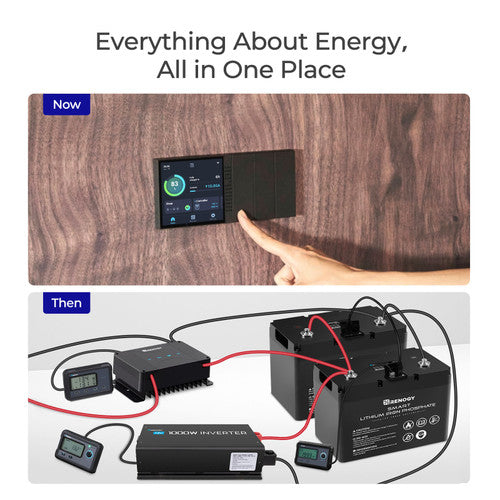 Renogy 12V 100Ah Lithium Battery with Self-Heating